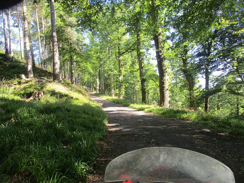 2018.06.30 Schottland Lossiemouth (1189).JPG